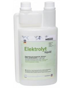 Ã‰lectrolytes liquides 1 L Waldhausen