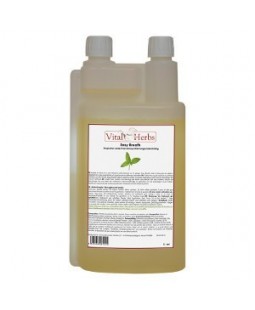 EASY BREATH RESPIRATION LIQUIDE 1 L VITAL HERBS