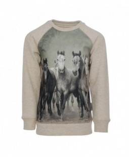 Sweat coton Enfant chevaux