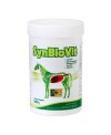 Flore intestinale chevaux 900 g Synbiovit TRM