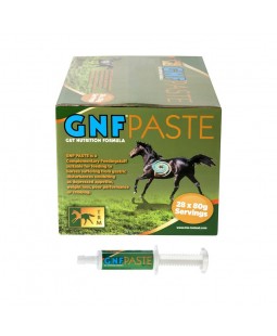 DÃ©sordres gastriques chevaux seringue 28 x 80 g GNF Paste TRM