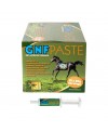 DÃ©sordres gastriques chevaux seringue 28 x 80 g GNF Paste TRM