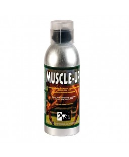 Body Builder naturel chevaux 1 L Muscle Up TRM