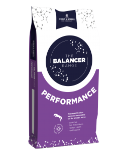 Ã‰quilibre cheval de sport 15 kg Performance Balancer Dodson & Horrell