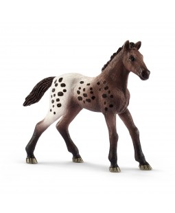 Figurine Poulain Appaloosa Schleich