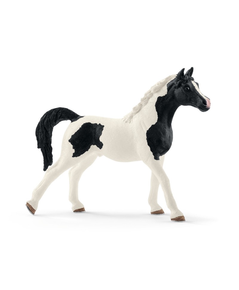 Figurine Etalon Pintabian