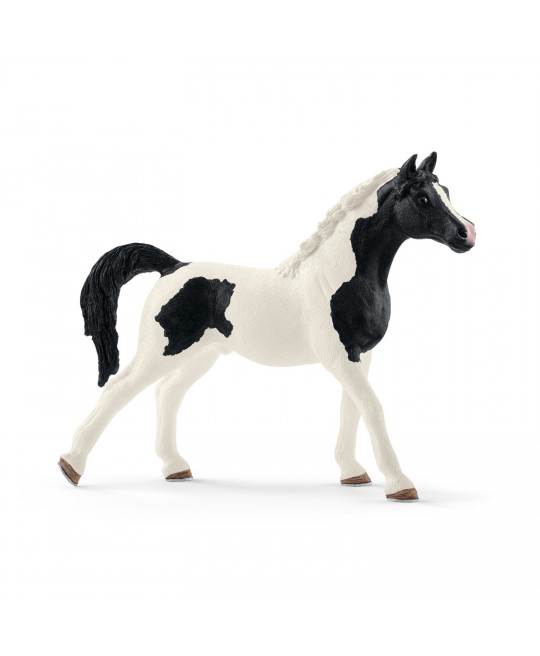 Figurine Etalon Pintabian Figurine Etalon Pintabian