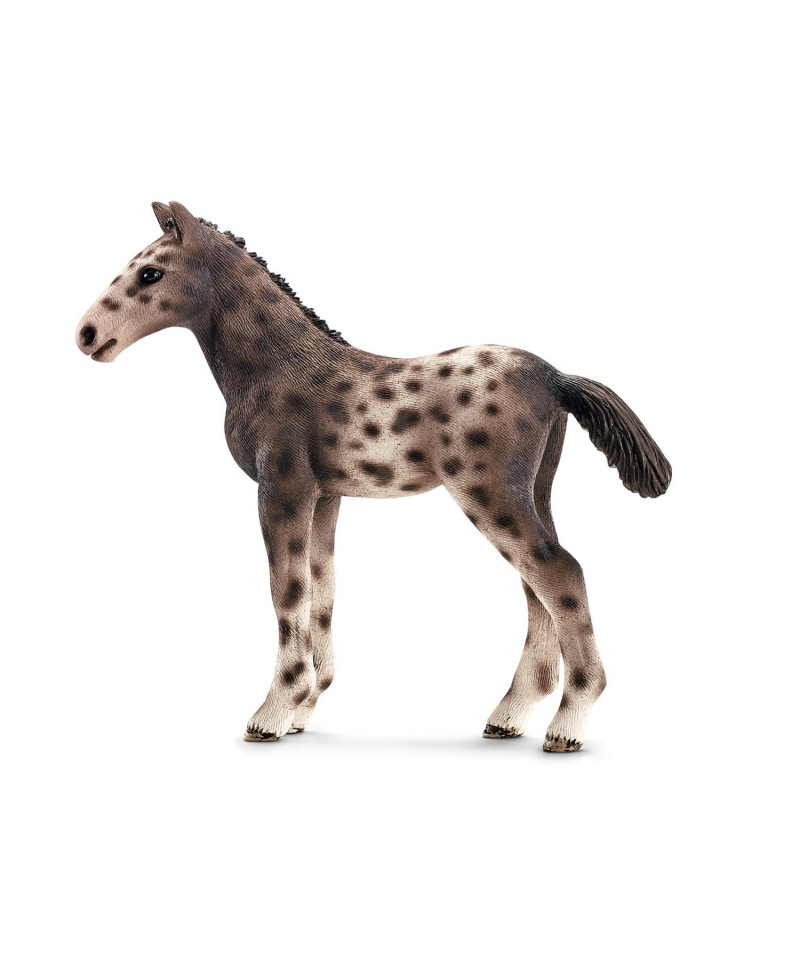 Figurine Poulain Knabstrupper