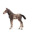 Figurine Poulain Knabstrupper