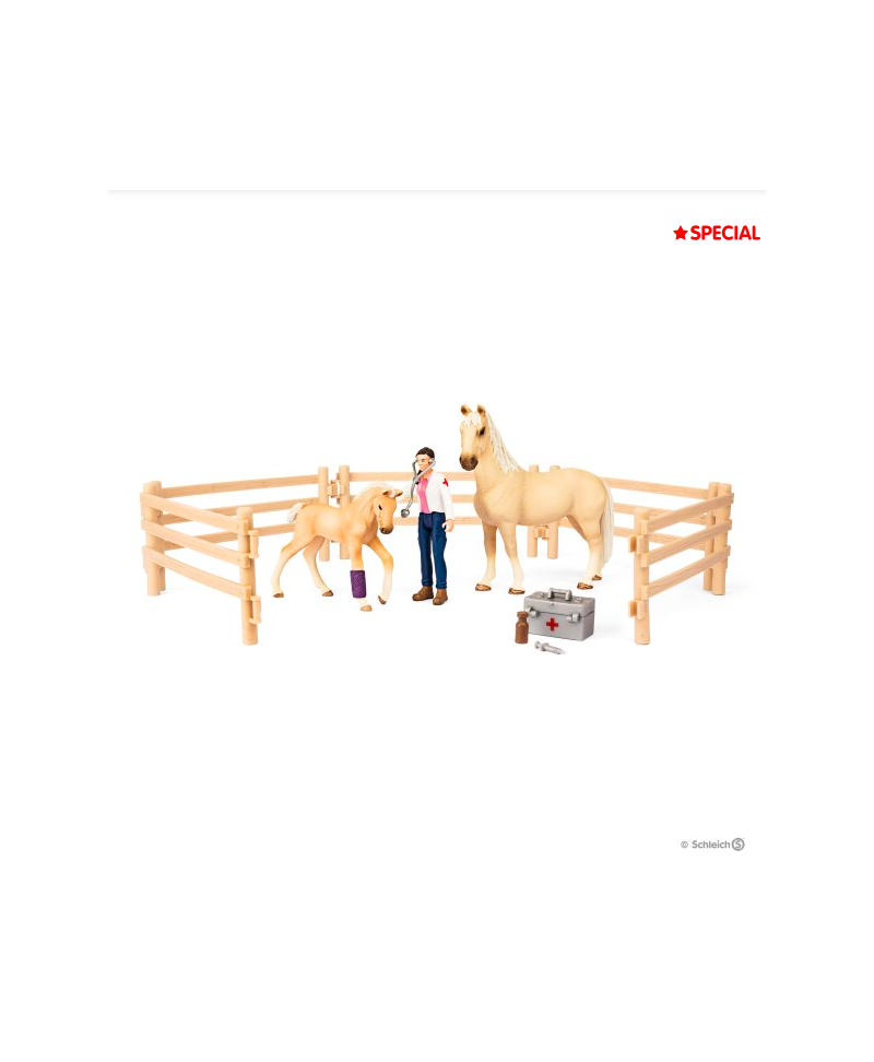 Kit de jeux Box de Soins pour chevaux
