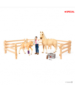 Kit de jeux Box de Soins pour chevaux