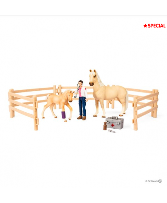 Kit de jeux Box de Soins pour chevaux Kit de jeux Box de Soins pour chevaux