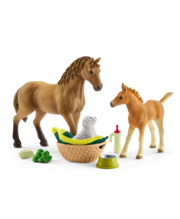 Kit de jeux Soins pour BÃ©bÃ©s animaux