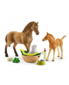 Kit de jeux Soins pour BÃ©bÃ©s animaux